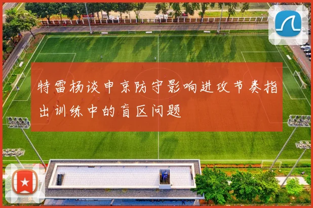 特雷杨谈申京防守影响进攻节奏指出训练中的盲区问题