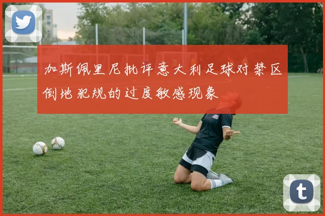 加斯佩里尼批评意大利足球对禁区倒地犯规的过度敏感现象